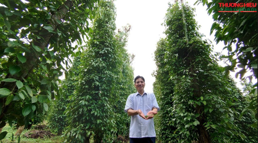 Những sản phẩm OCOP nông nghiệp của Bà Rịa - Vũng Tàu Những sản phẩm OCOP nông nghiệp của Bà Rịa - Vũng Tàu