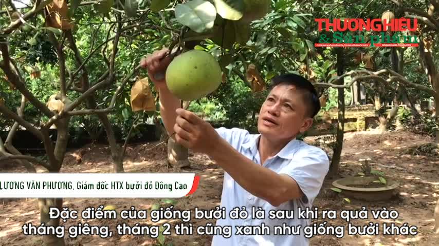 Doanh nhân nông nghiệp Lương Văn Phương